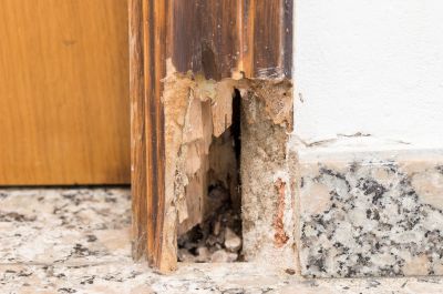 Dry Rot Door Repair