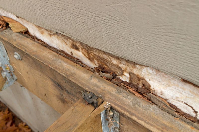 Damaged Wood Replacement