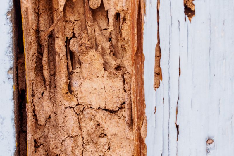 Damaged Wood Replacement