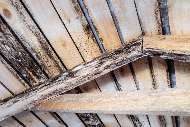 Deck Beam Rot Repair