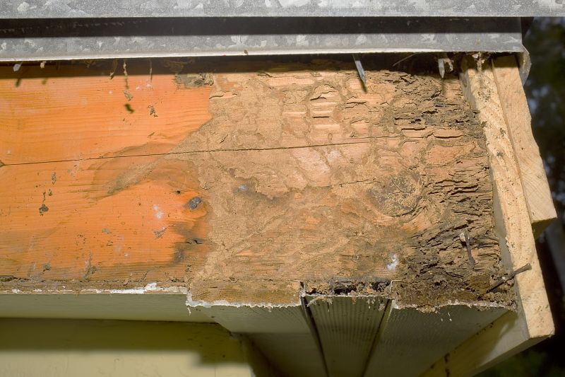 Deck Beam Rot Repair