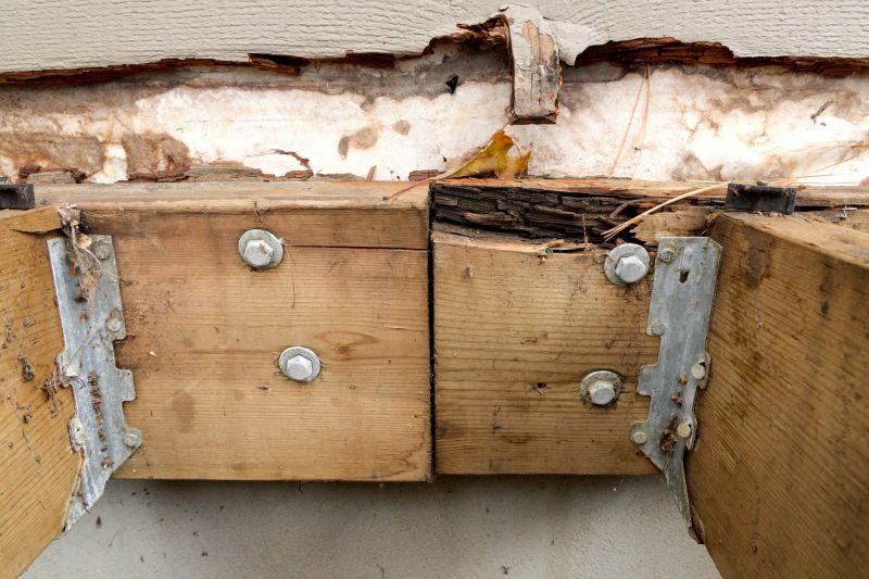 Deck Dry Rot Repair