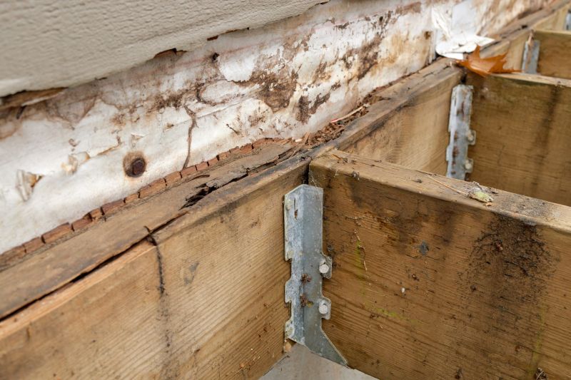 Deck Dry Rot Repair