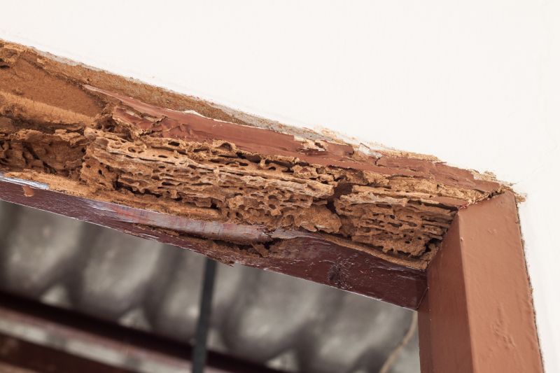 Door Frame Wood Rot Repair