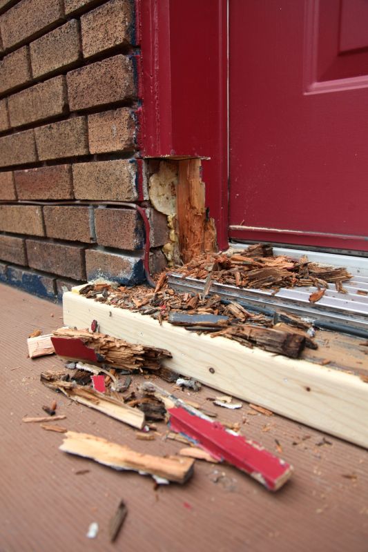 Dry Rot Door Repair