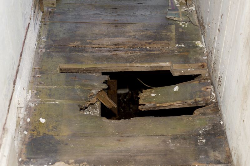 Dry Rot Floor Repair