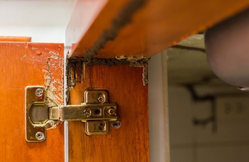 Kitchen Dry Rot Repair