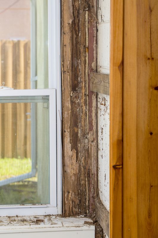 Residential Dry Rot Repair