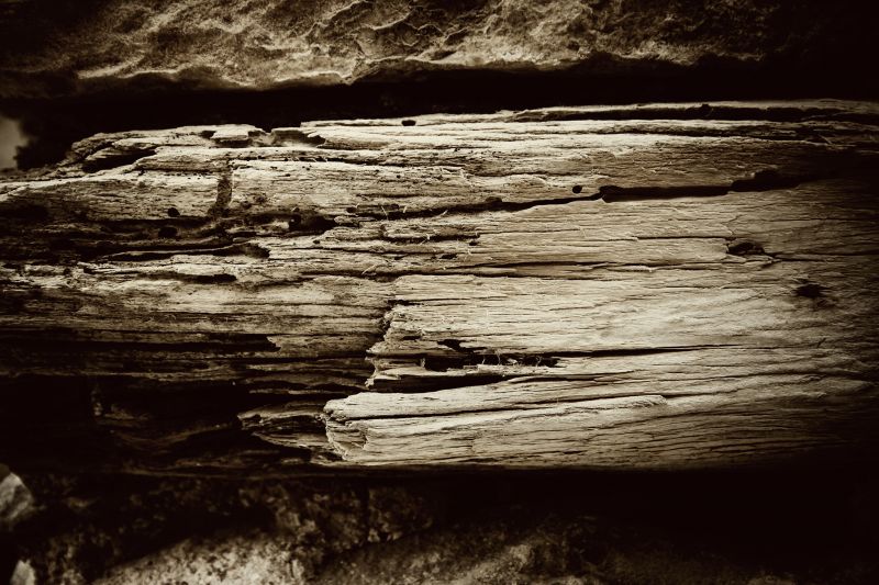 Rotted Beam Repair
