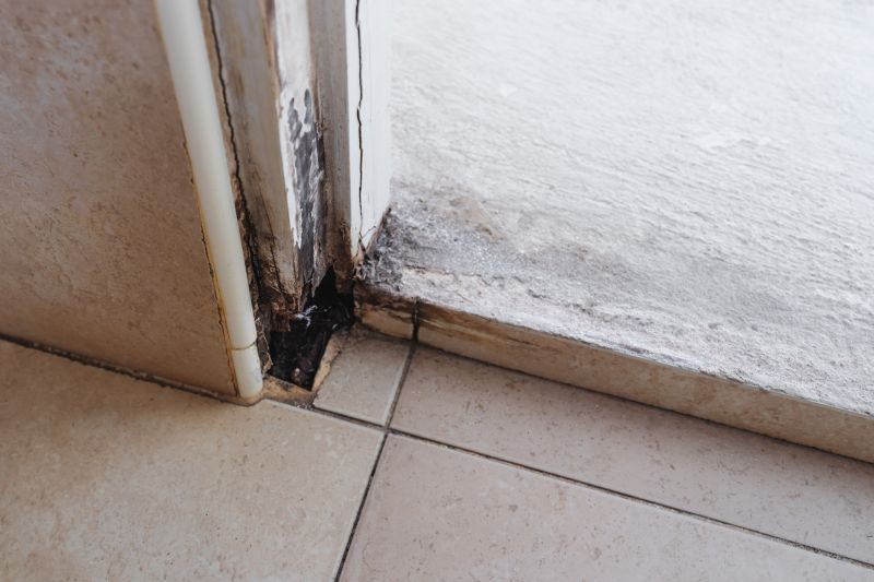 Rotten Floor Repair
