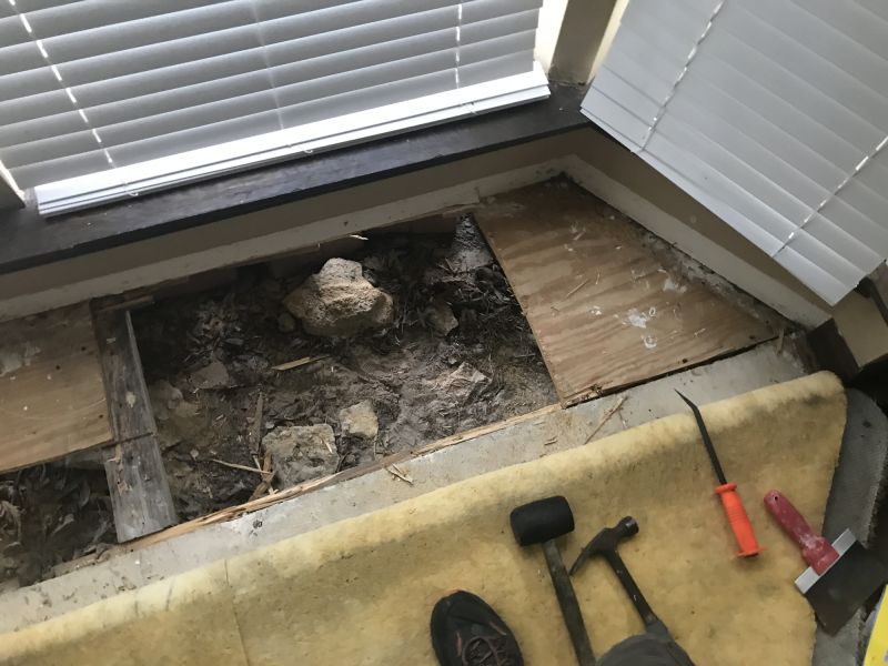 Subfloor Rot Repair