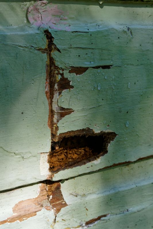 Wood Decay Repair