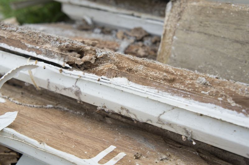 Wood Rot Restoration